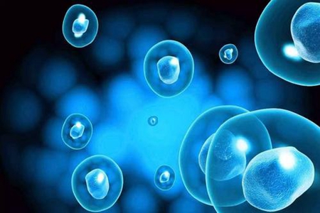 干细胞注射有什么作用 注射干细胞的四个好处