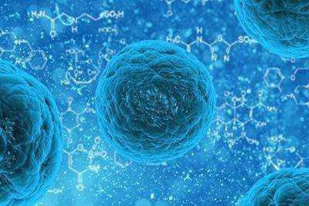 干细胞注射有什么作用 注射干细胞的四个好处