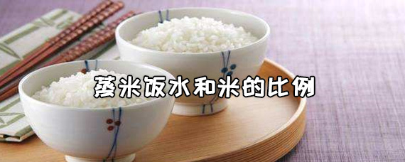蒸米饭水和米的比例 蒸米饭里面放什么东西更香