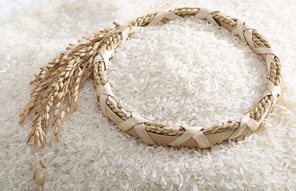 米里怎么预防米虫 出现米虫的米还能吃吗